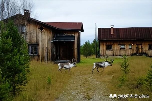 世界上最大的国家排名前十名，哪个国家面积最大前十名（2022年全球25个最佳国家/地区排名）