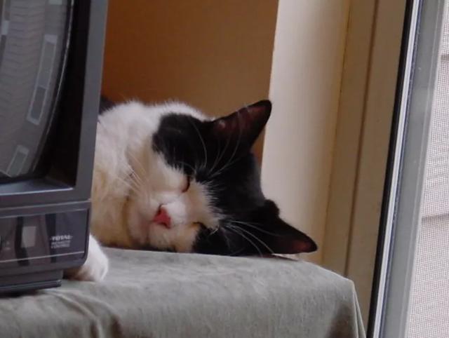 10公斤托运大概多少钱,飞机托运10公斤多少钱(过年多一手准备,多一分底气) 10公斤托运大概多少钱,飞机托运10公斤多少钱(过年多一手准备,多一分底气)