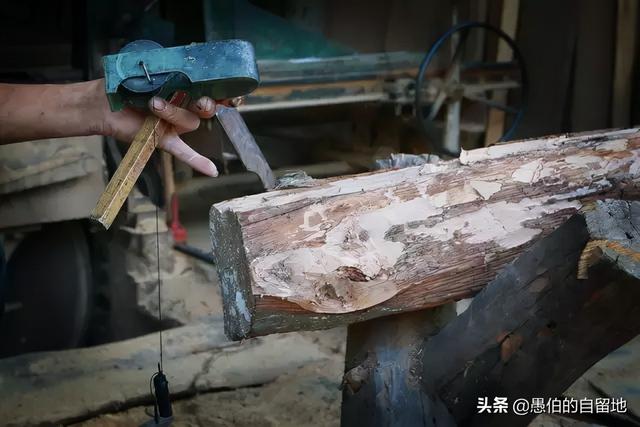 梁椽的意思，架梁之椽的椽是什么意思（我的大哥是一名木匠）