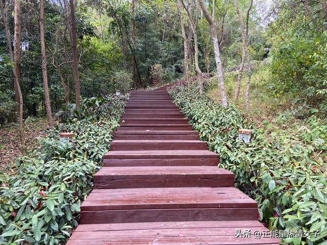 罗浮山风景区一日游攻略，岭南第一山罗浮山爬山记