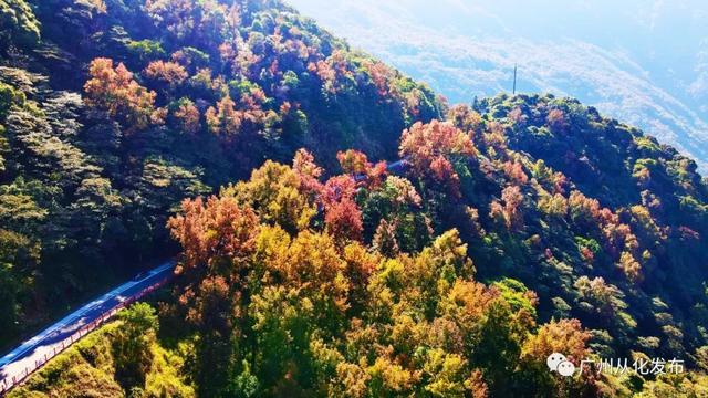 广州石门公园景点，赏红叶首选，当属从化石门