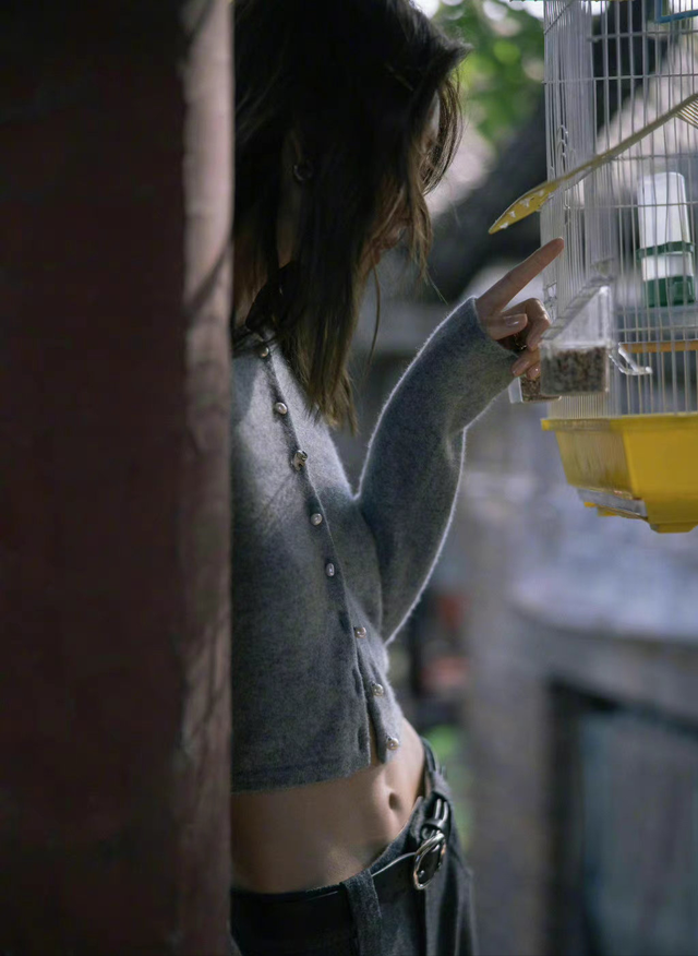 大表姐是谁，詹妮弗劳伦斯（大表姐刘雯秋日胡同随拍秀身材）