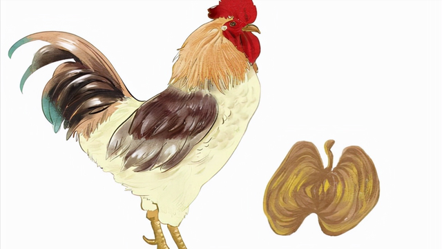 鸡内金片的功效与作用，鸡内金片的功效与作用和主治（每天吃鸡内金来消食健脾）