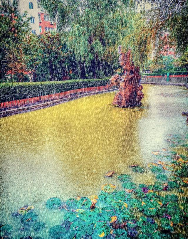 立秋下雨有什么说法，天气预报：今天8月7号立秋