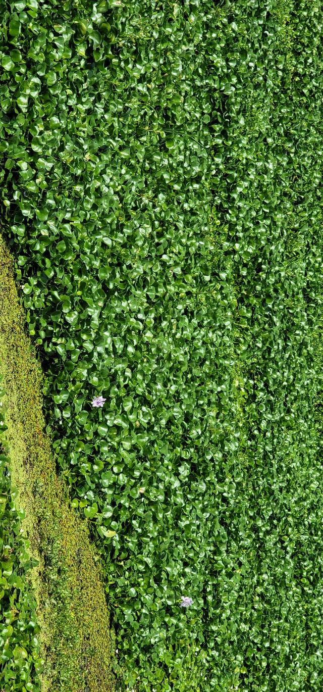 上海到青岛多远，上海到青岛的路程（上海青岛往返1400公里全程无高速沿途城市蜻蜓点水游）