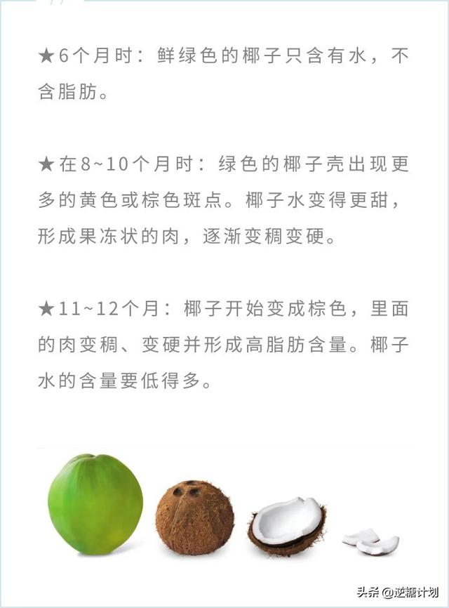 椰奶和椰汁有什么区别，椰汁和椰奶的区别（椰子水和椰奶究竟有何不同）