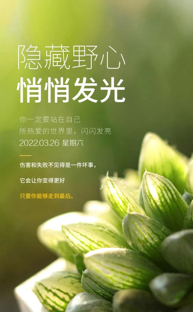 工作励志正能量文案，正能量满满的励志句子有哪些（早安心语，正能量努力工作文案）