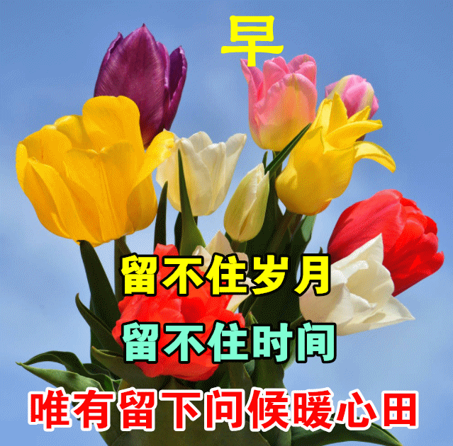 祝福全家的祝福语，2022年春节祝福语全家（直接群发家人朋友的早安祝福语精选大全）