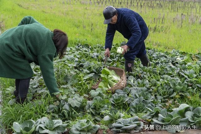 和自己说说心里话，和自己说说心里话作文600字（人到中年，身不由己）