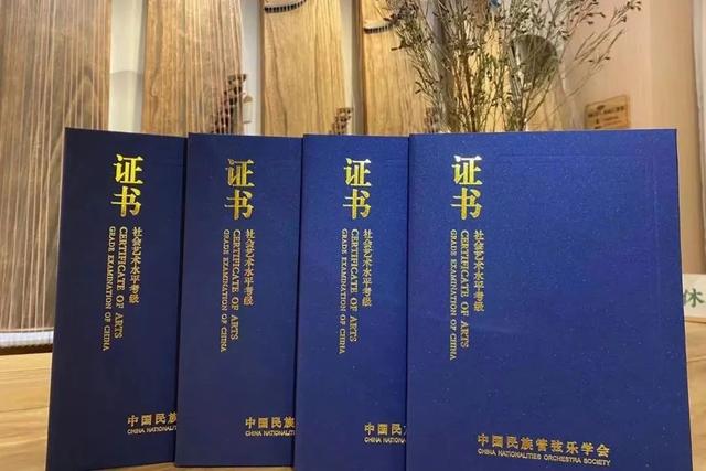 琵琶考级吗，琵琶考级哪个最权威（2022夏季线上考级报名截止至7月5日）