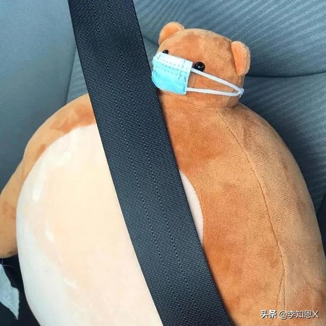 抱猫的女生头像，乔：可爱抱猫女头 人刚认识的时候总是拘谨中带着温柔微信（有趣可爱的情侣头像啊）