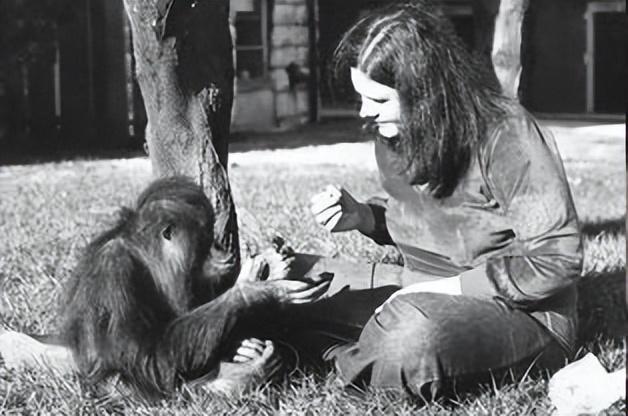 多妈简笔画叠起来的被子，儿童简笔画叠被子（试图成为人类却被囚禁30年）