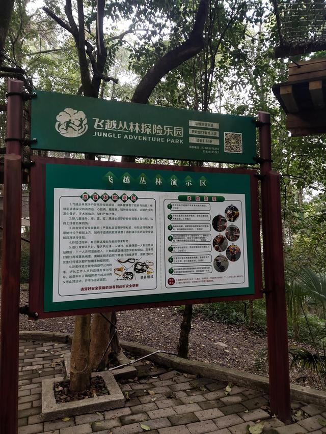 歌乐山森林公园，重庆旅游必去景点（歌乐山国家森林公园）