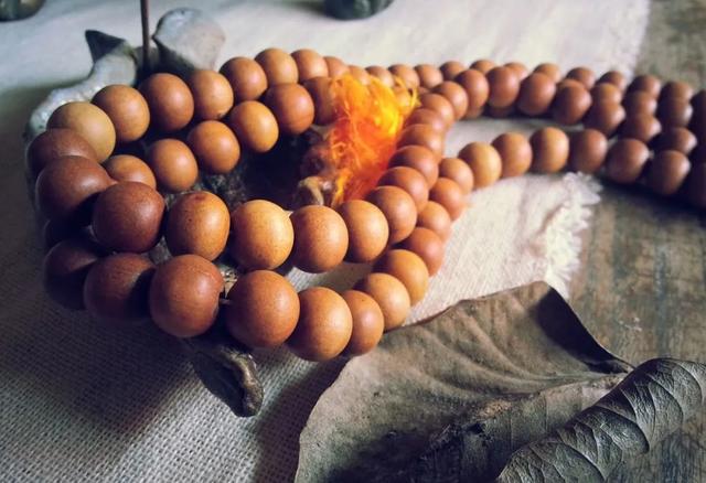 檀香木盆景图片，檀香木盆景养护与制作方法（它的生长好似半个动物孕化过程）