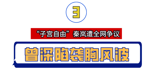 苏有朋和秦岚一起演的电视剧叫什么名字，苏有朋和秦岚的电视剧有哪些（“隐形富婆”秦岚）