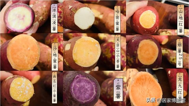 哈密红薯品种介绍，哈密薯特征功效（街边的烤红薯不要了）