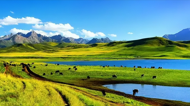 青海旅游景点大全，青海省十大旅游景点排名大全（出门游玩青海这六大景点不容错过）