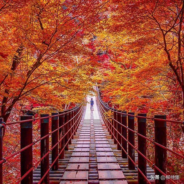 好看的照片风景，怎样才能拍出好看的风景照片（4句口诀让照片更有看点）