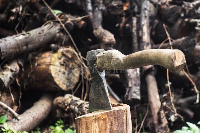 年初一有哪些习俗，年初一 风俗（老祖宗留下的7条老规矩）