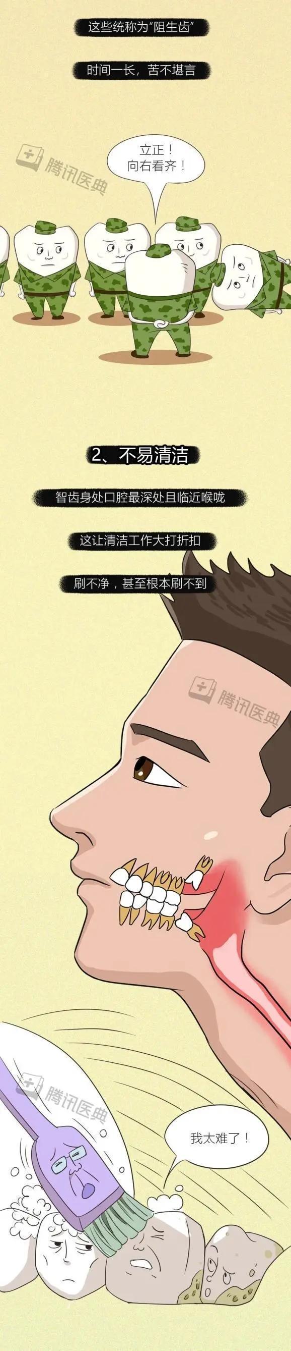 智齿长在哪个位置，智齿长在哪里（会对身体造成什么影响）
