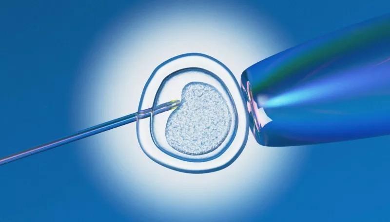 内蒙古女市长，内蒙古市长是谁（内蒙美女市长因爱美落马）