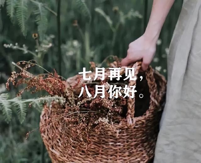 八一建军节发朋友圈，建军节文案（正能量经典语录）