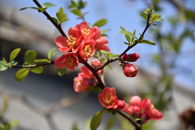 美丽的春天，美丽的春天200字作文（散文诗：美丽的春天）