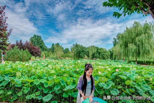 西安汉城湖公园，西安汉城湖景区景点介绍（2023西安旅游值得去的30个景区大全）