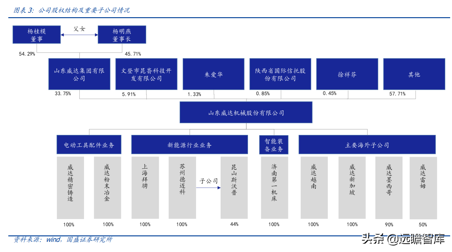 威达电（全球电动工具龙头）