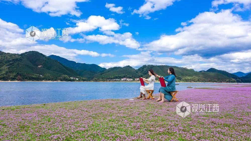 江西有多少个市()