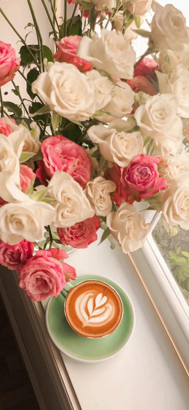 落日与晚风深情的相拥是什么歌，落日与晚风表达的什么（壁纸，落日与晚风深情的相拥）