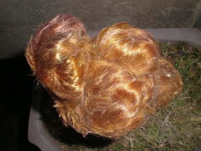 金毛狗蕨类植物的药用价值，金毛狗蕨的功效与作用（金毛狗蕨的功效与作用）