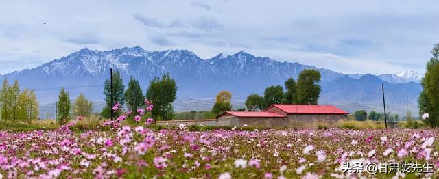 张掖海拔多少米，张掖风景名胜区（张掖，一座被严重低估的城市）
