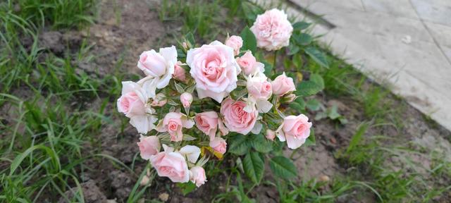 免打扰模式怎么设置，手机免打扰模式在哪里设置（手机免打扰模式开启）