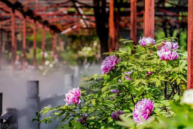 订婚彩礼钱一般给多少，订婚彩礼钱一般给多少钱（今咱来看看河南的彩礼怎么）