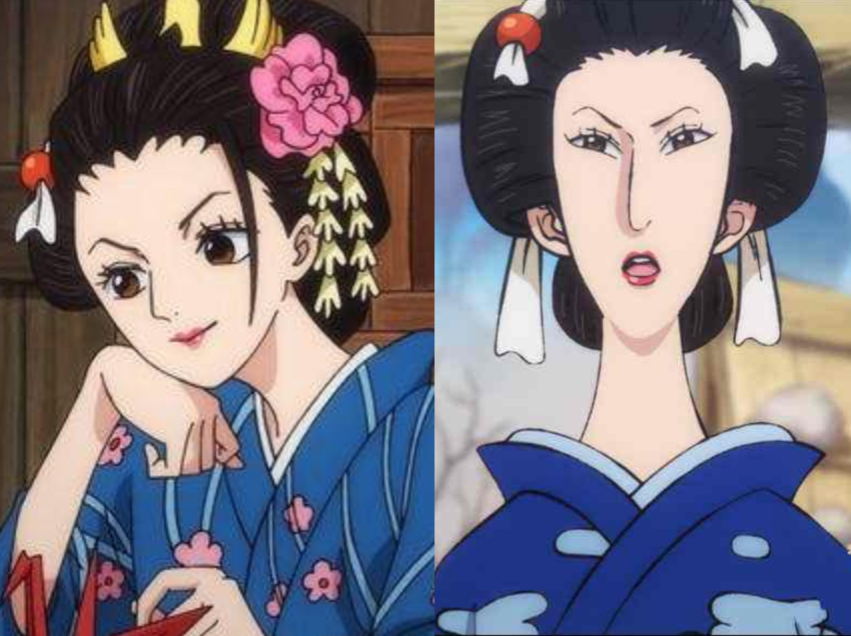 海贼王里的美女，海贼王十大美女（海贼王：6位输给岁月的美女）