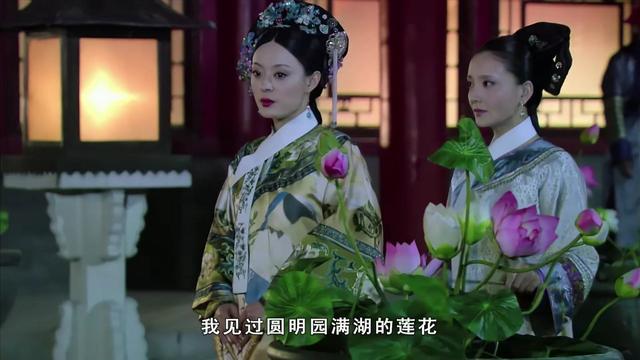 夕颜花是牵牛花吗，夕颜花的花语（夕颜花是牵牛花吗）