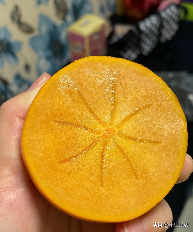 什么品种的脆柿子好吃，什么产地的脆柿子好吃（陕西巧克力糖心脆柿）