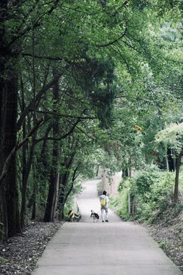 坐标金堂，秋天的云顶山，好冷清