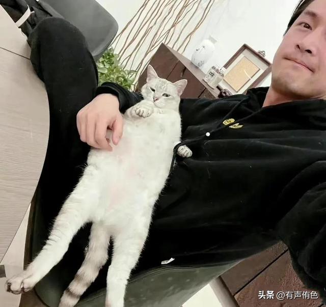 胡歌薛佳凝二人是谁给胡歌介绍的，为什么是她拿下了胡歌