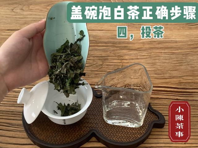 茶道入门泡茶顺序，茶道入门茶道基本步骤（教你用最少的时间从菜鸟到高手）