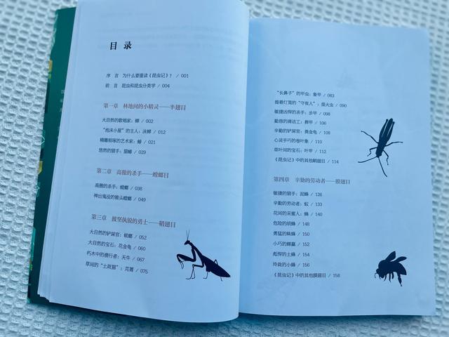 昆虫记内容简介，昆虫记内容简介50字（《昆虫记》是孩子必读书）