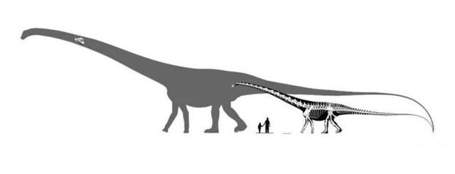 身体最长的恐龙是，身体最宽的恐龙（恐龙的体型为什么那么大）