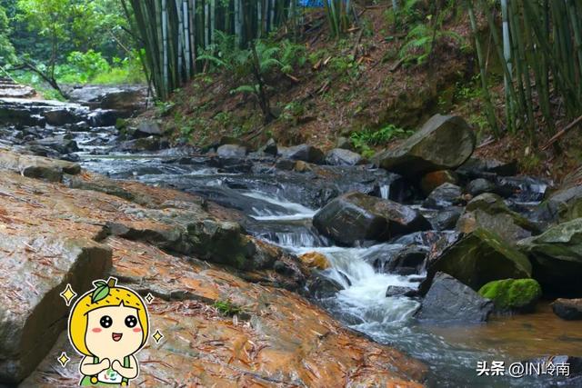 广州徒步登山经典路线，​黄埔秘境在这里