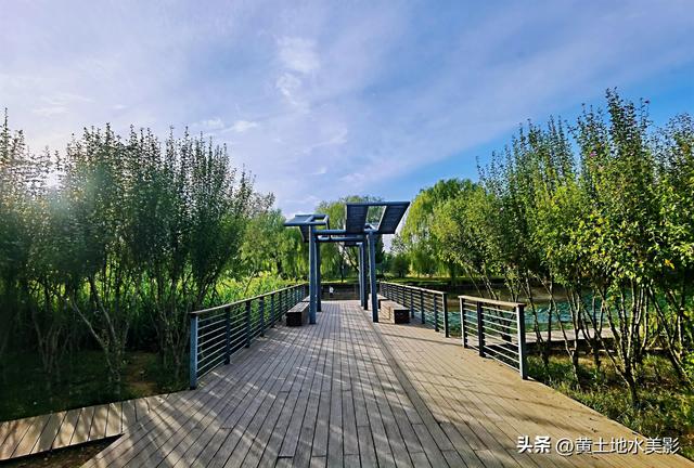 郑州龙湖湿地公园现状分析，河南郑州龙湖湿地公园秋色初露