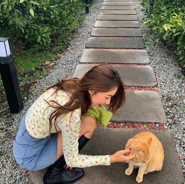 猫系女孩，微信头像，猫系女孩（女生头像：抱猫头像）
