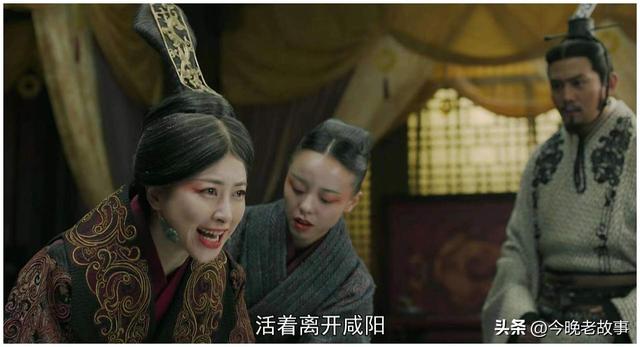 假父在古代是什么意思，嫪毐为什么叫假父（皇帝竟然也戴绿帽子）