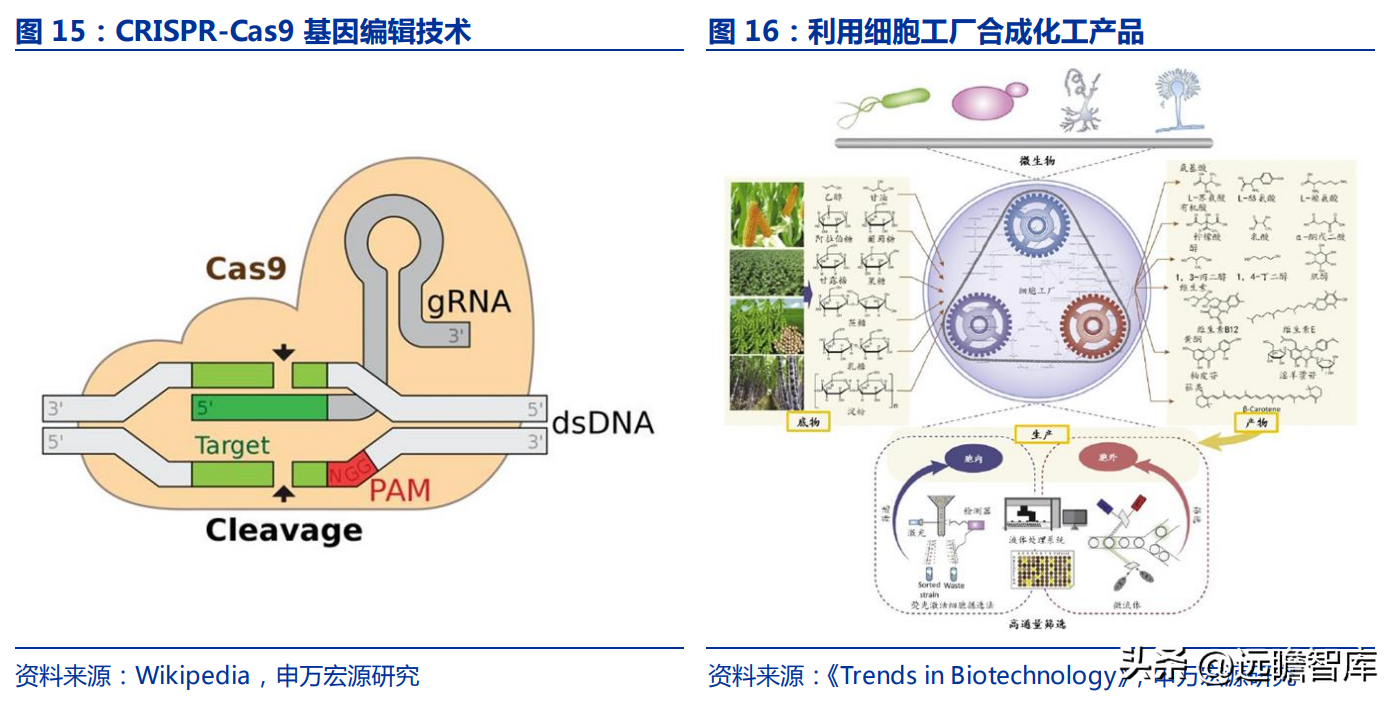 凯赛生物（生物制造引领时代发展）