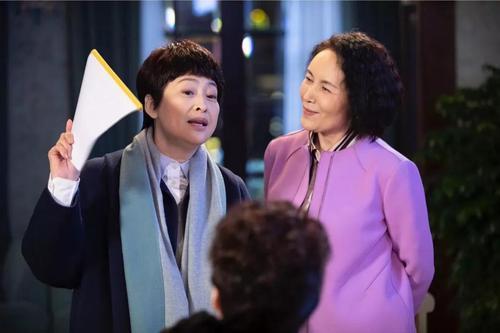 婚姻前规则电视剧介绍，电视剧《结婚前规则》（《老闺蜜》主演许娣）