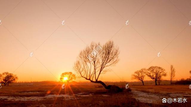 暖阳图片，冬日暖阳（《冬日暖阳》木若水/辽宁）